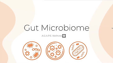 GUT MICROBIOME |A.G.A.P.E. Wellness